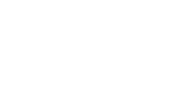 Novo ZR-V